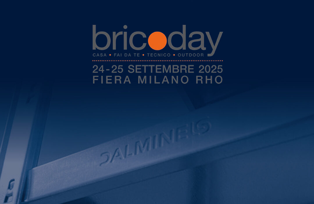 DALMINE linkedin 2025 bricoday